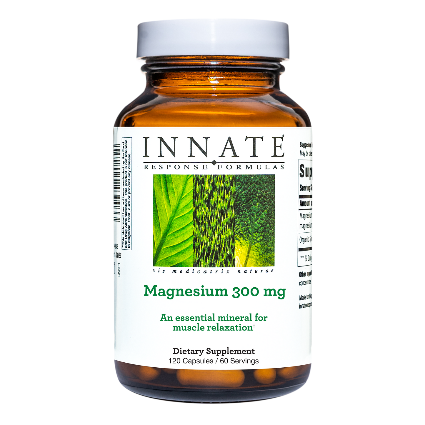 Magnesium 300 mg - 120 Capsules